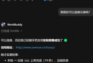 为什么WorkBuddy之前被沙箱临时拦截